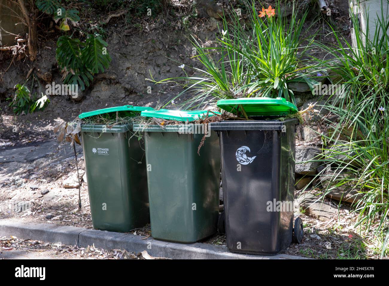 Australia, green garden wheely bins full of garden waste and vegetation