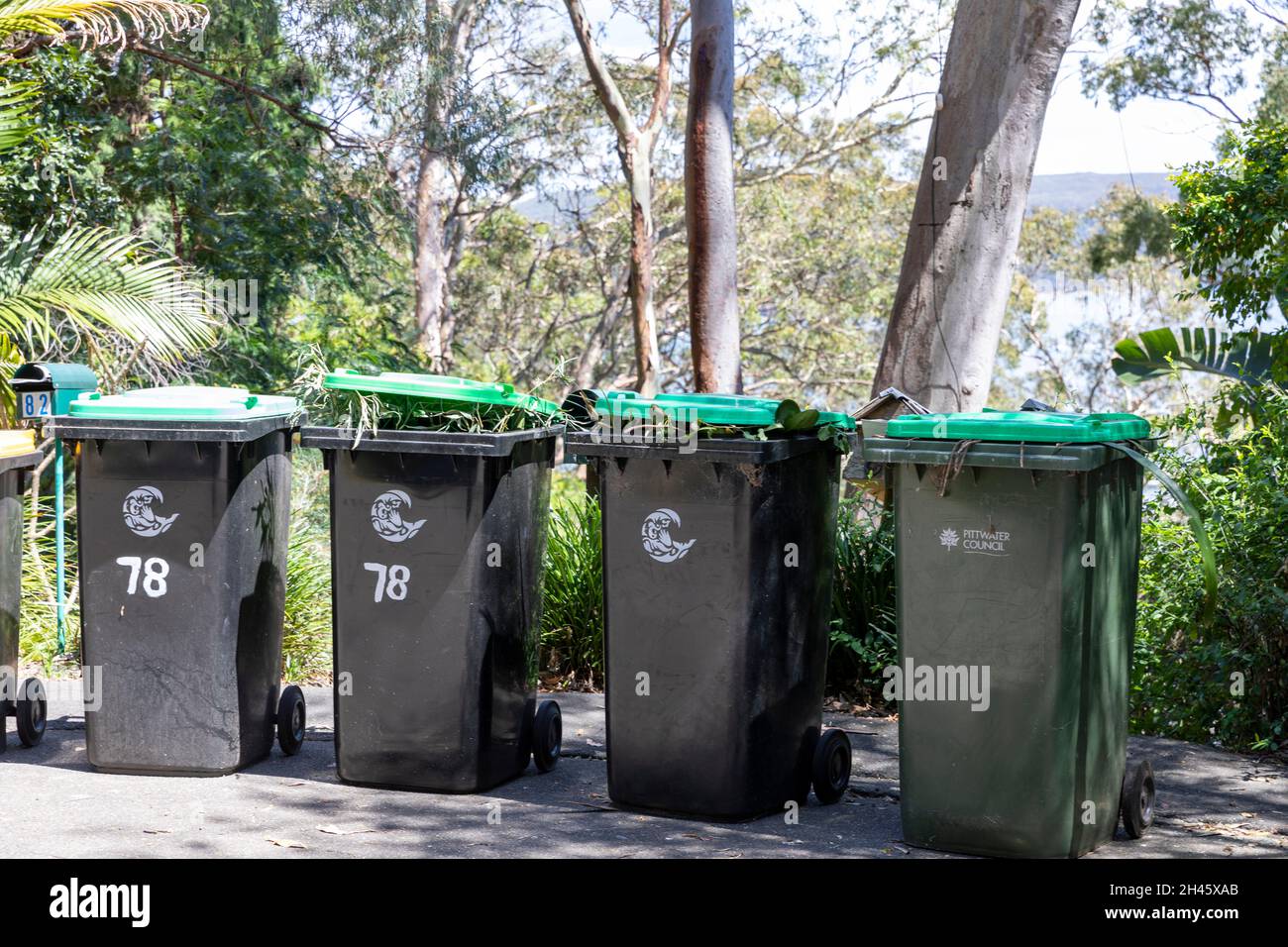 Australia, green garden wheely bins full of garden waste and vegetation on the street awaiting council collection,Avalon Beach suburb in Sydney,Austra Stock Photo