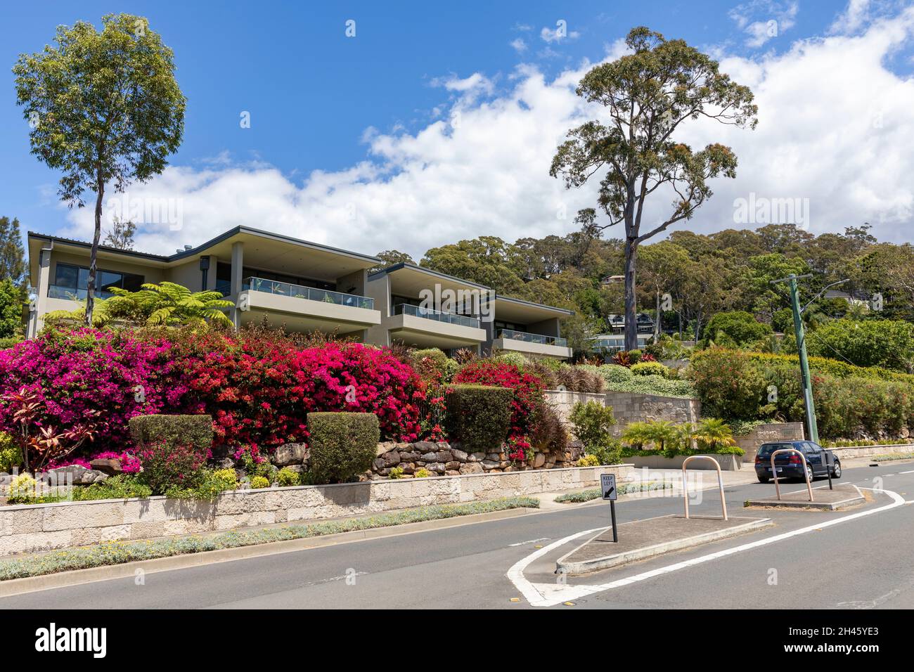 Bayview Sydney, apartment properties with Bougainvillea flowering in