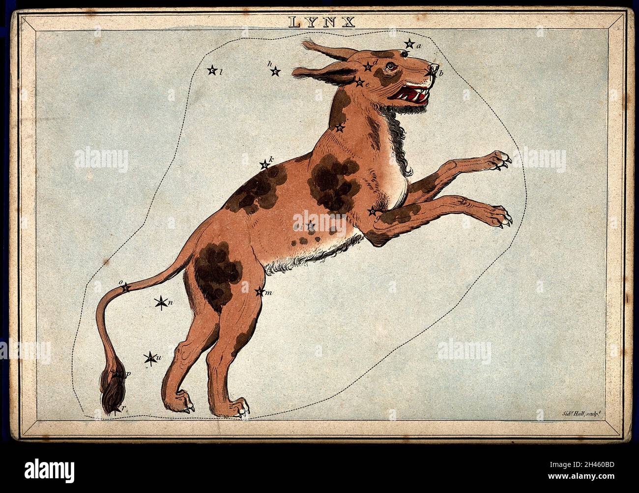 Astrology: signs of the zodiac, Lynx. Coloured engraving by S. Hall. Stock Photo