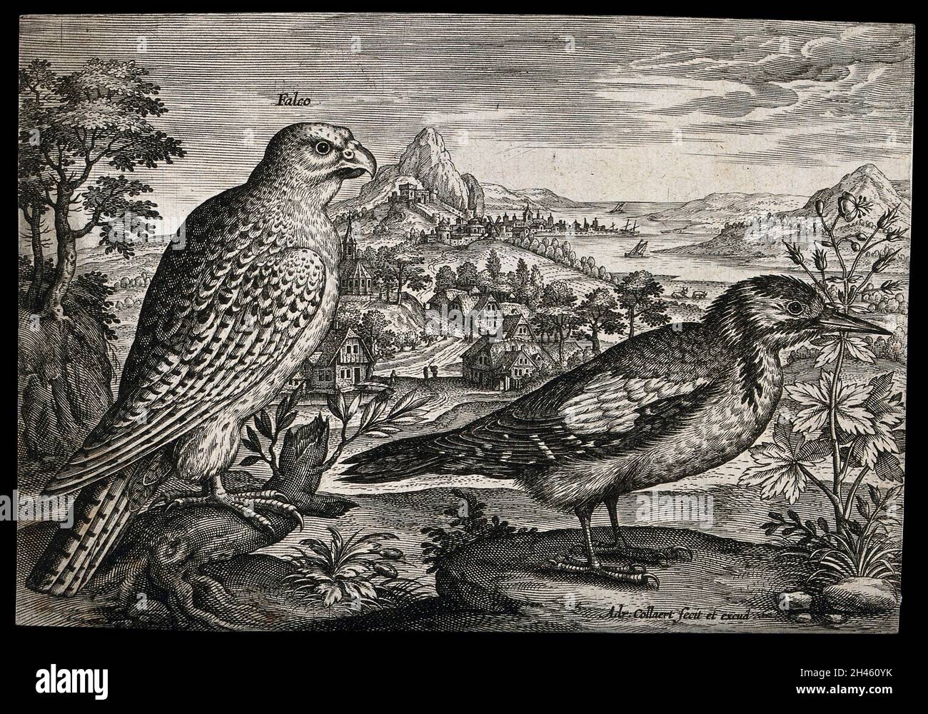 Etching 17th century hi-res stock photography and images - Alamy