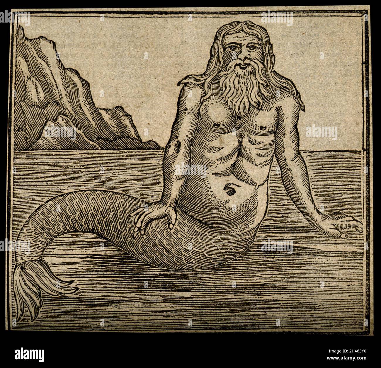 A merman, by the sea. Wood engraving. Stock Photo