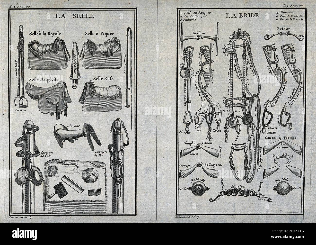 Left, a variety of saddles, harnesses and grooming equipment; right, a variety of headgears, bridles, snaffles and clasps. Engraving by G. Dheulland. Stock Photo
