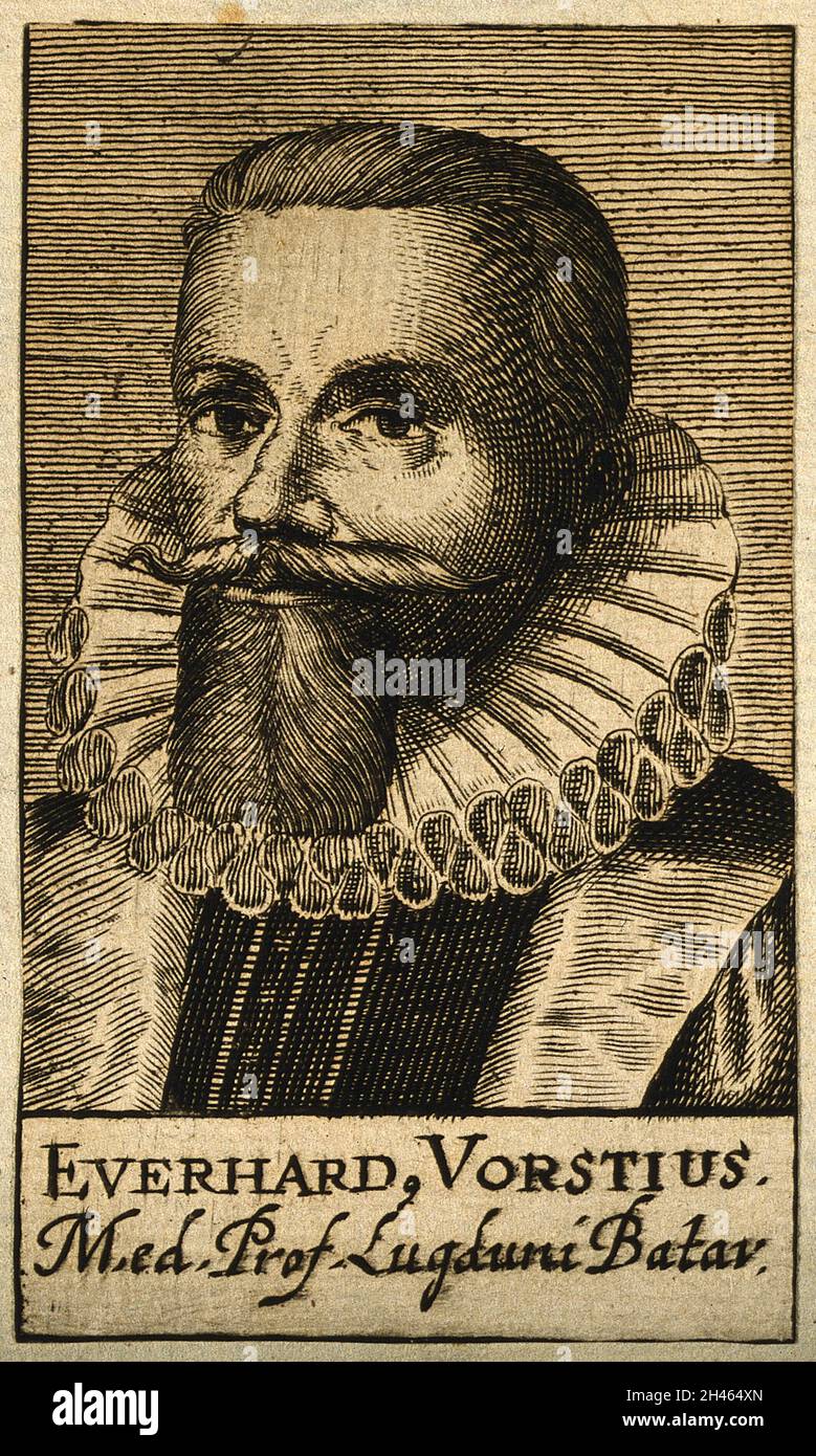 Aelius Everhardus Vorstius. Line engraving, 1688 Stock Photo Alamy