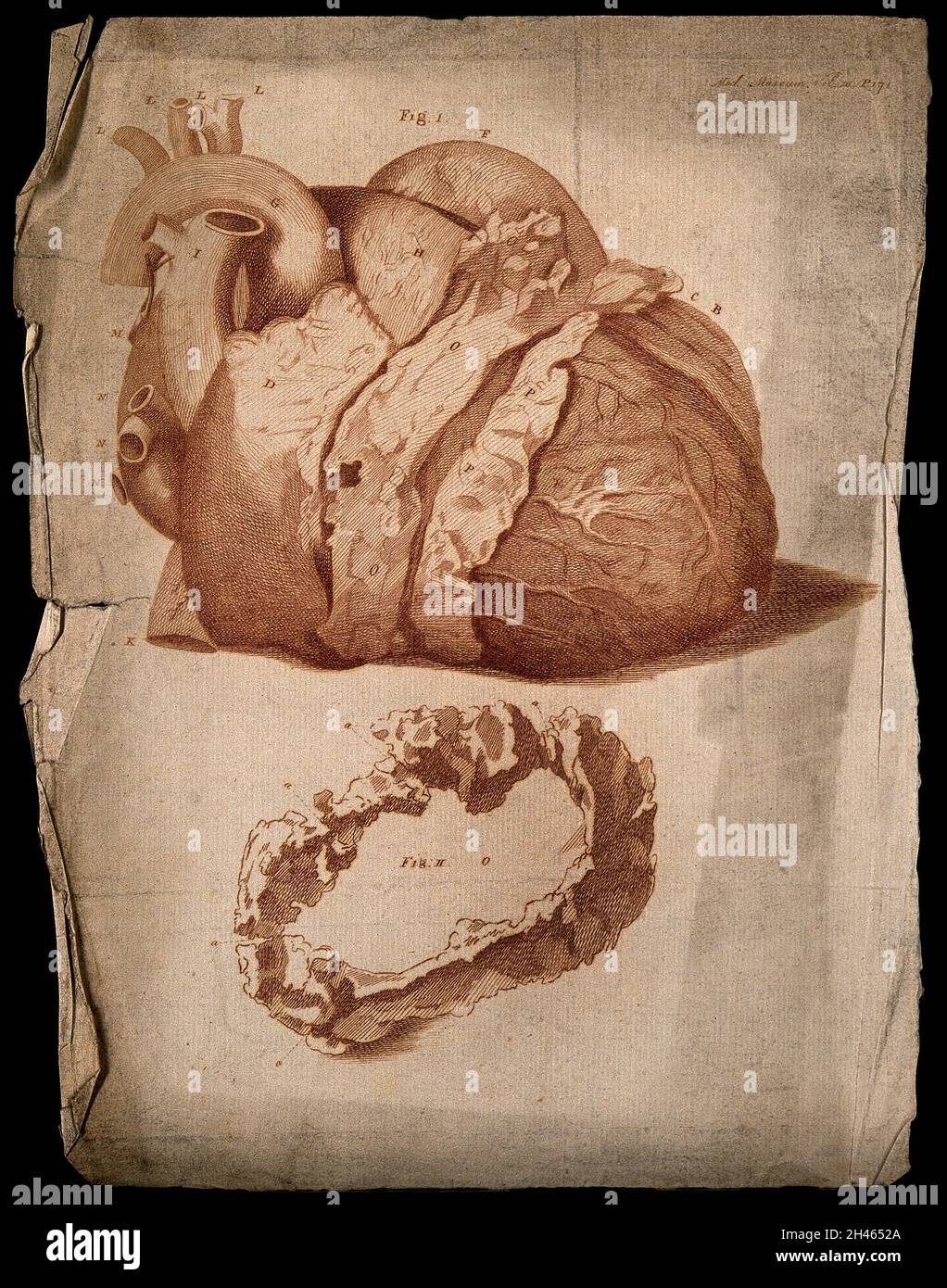 Semidissected heart, lettered for key. Etching, c.1760 Stock Photo Alamy