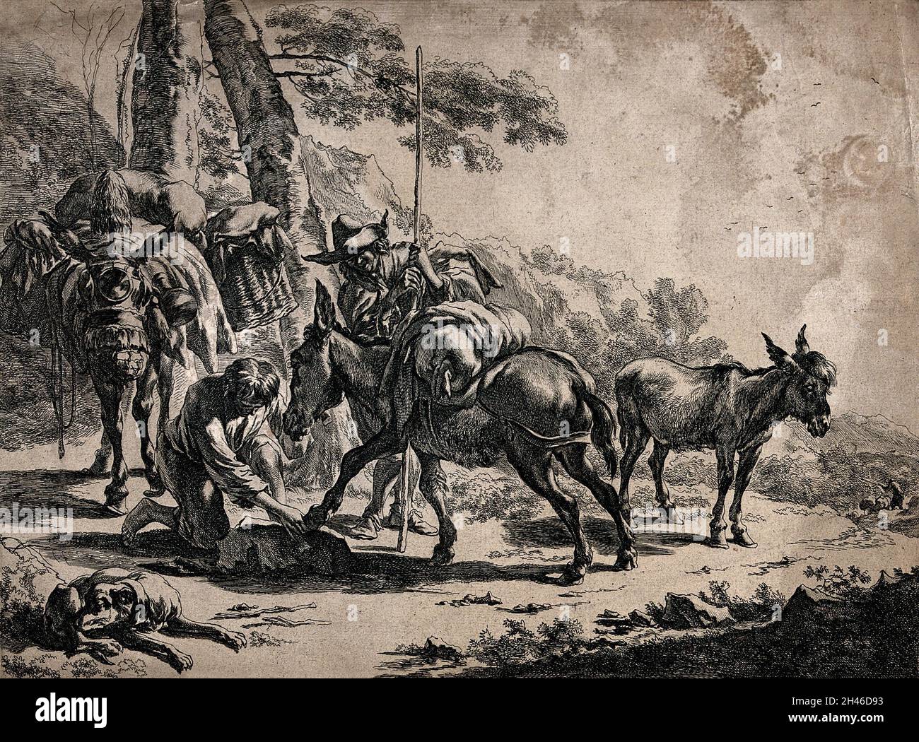 Two men on a journey with three donkeys along a path through rocky