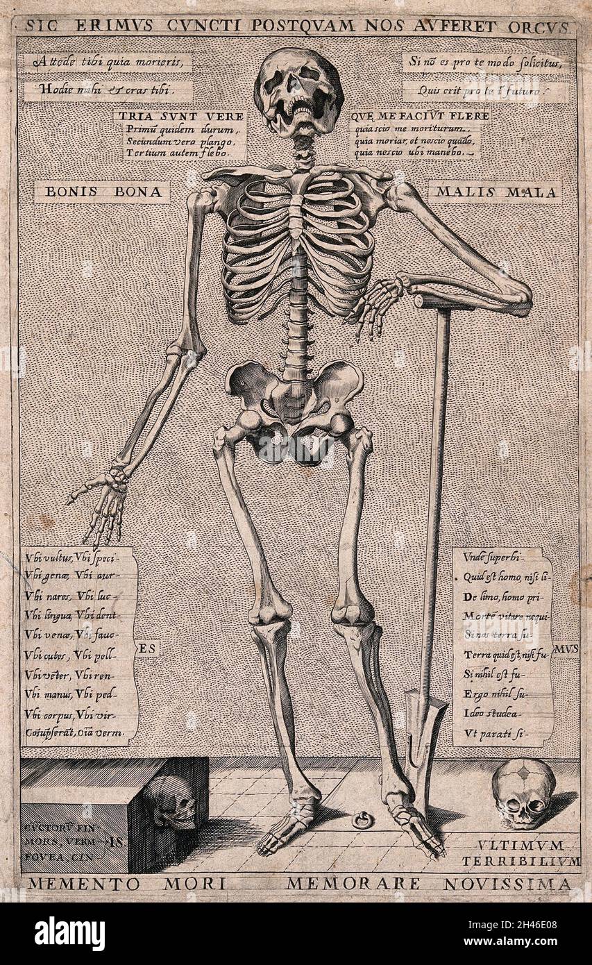 Skeleton Reminder Death mortality reminder hi-res stock photography and images - Alamy