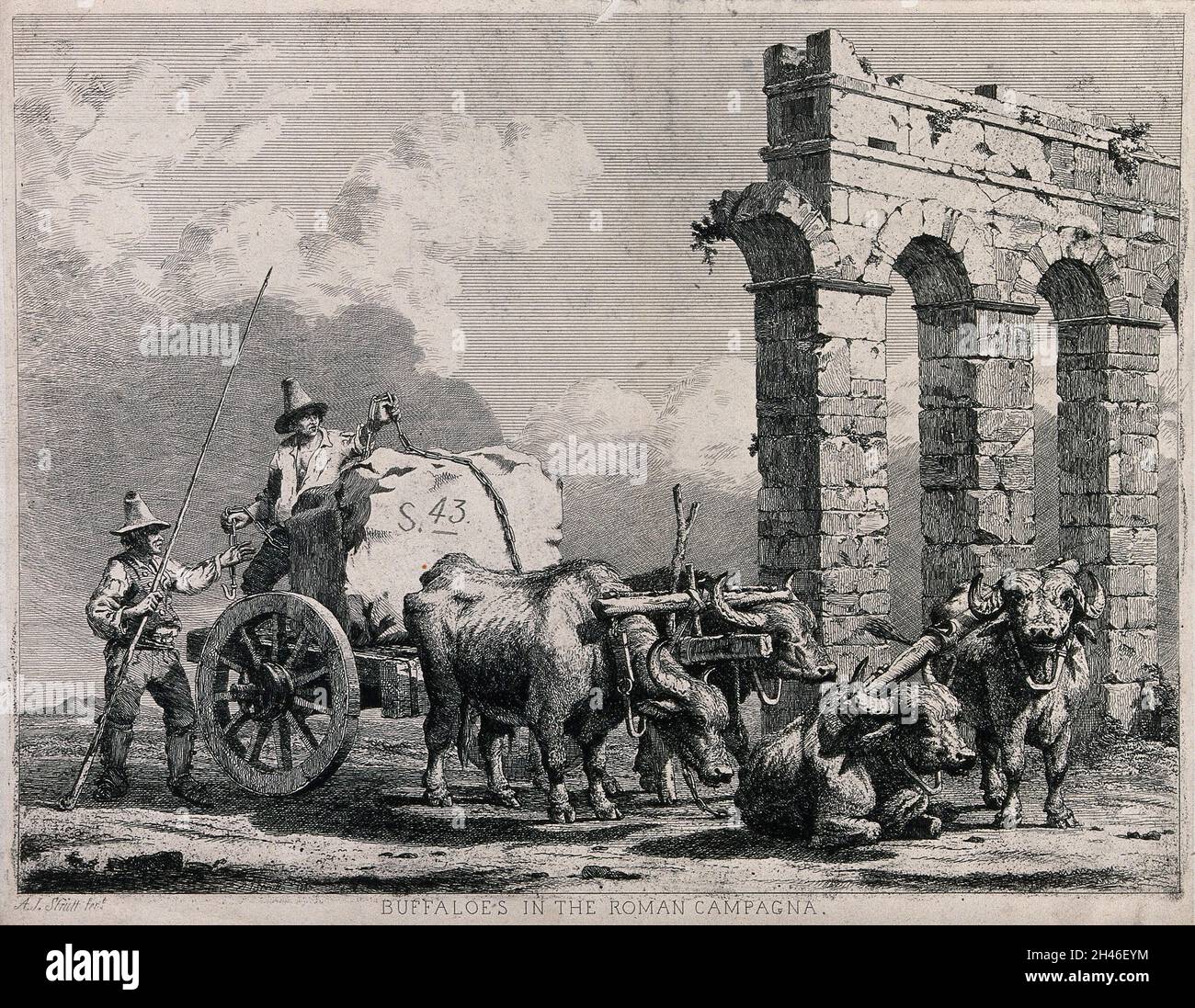 Two men securing a large block of stone on a cart drawn by four buffalo