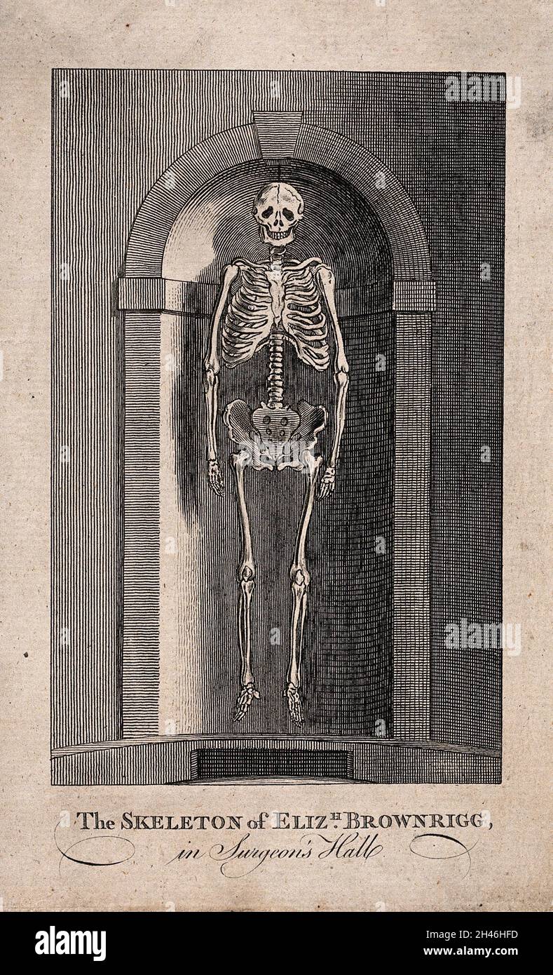 Elizabeth Brownrigg: her skeleton displayed in a niche at Surgeons' Hall, Old Bailey, London. Engraving. Stock Photo