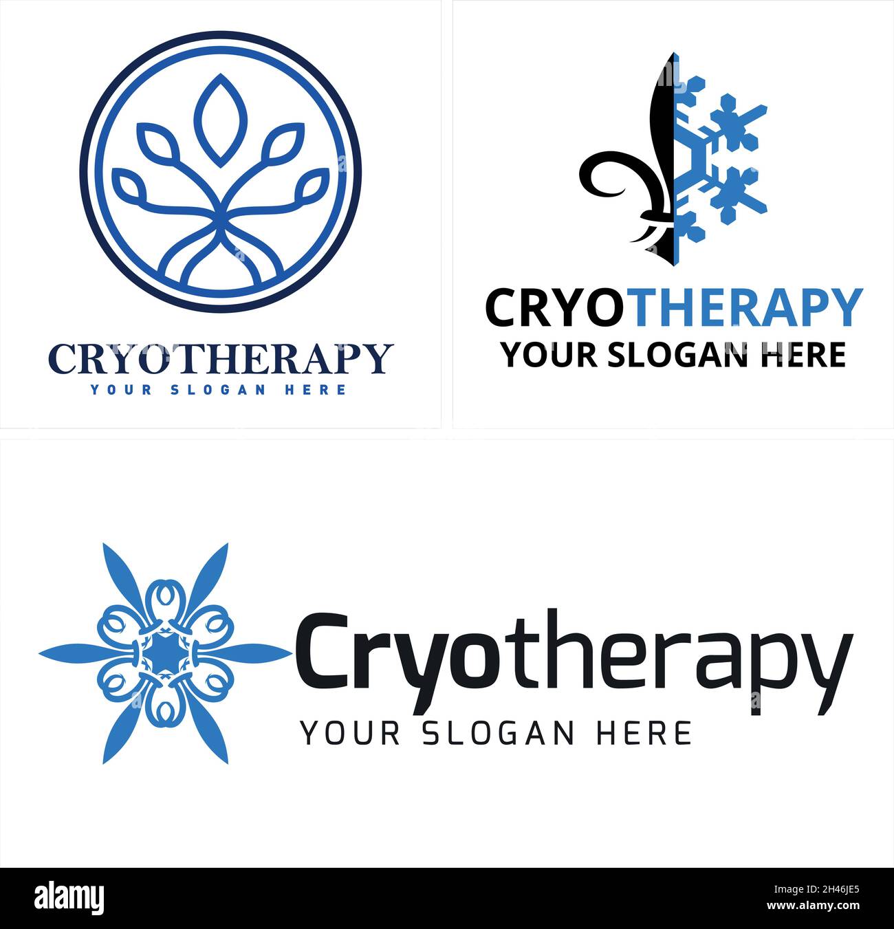Modern spa aesthetics cryotherapy snowflake Fleur De Lis logo design Stock Vector