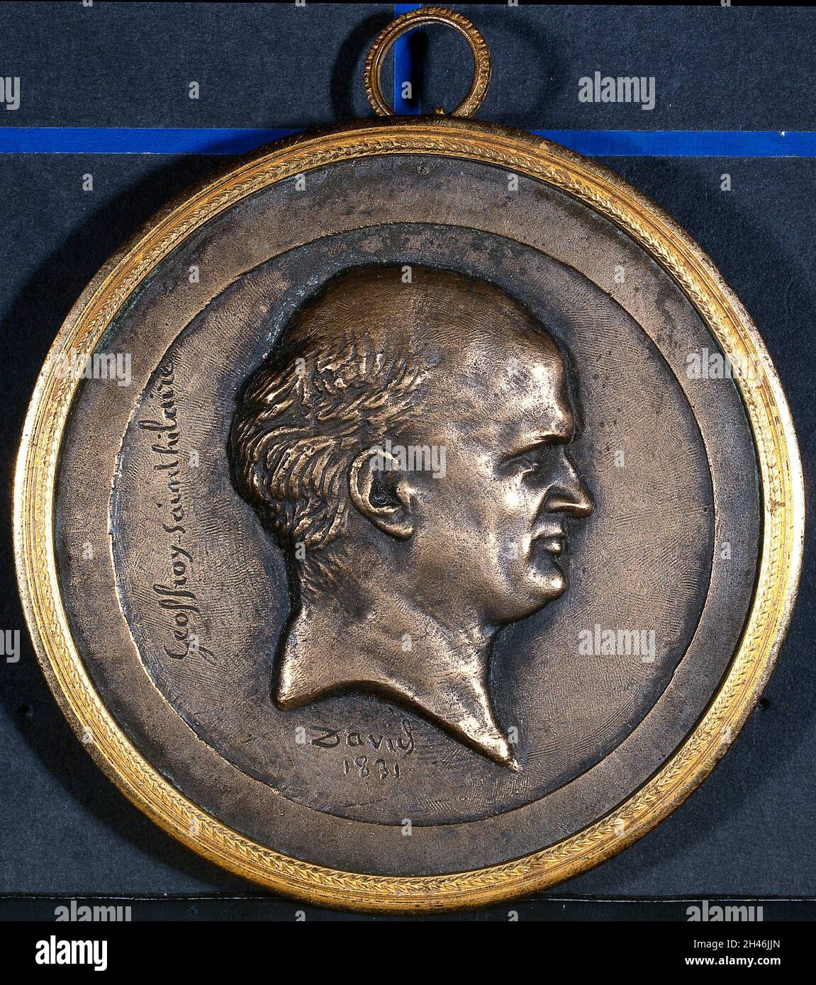 étienne geoffroy saint hilaire hi-res stock photography and images - Alamy