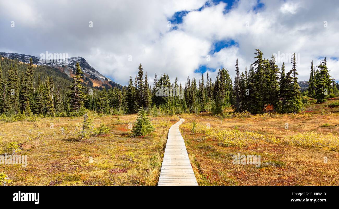 Hiking trail outdoors in Canadian nature Stock Photo - Alamy
