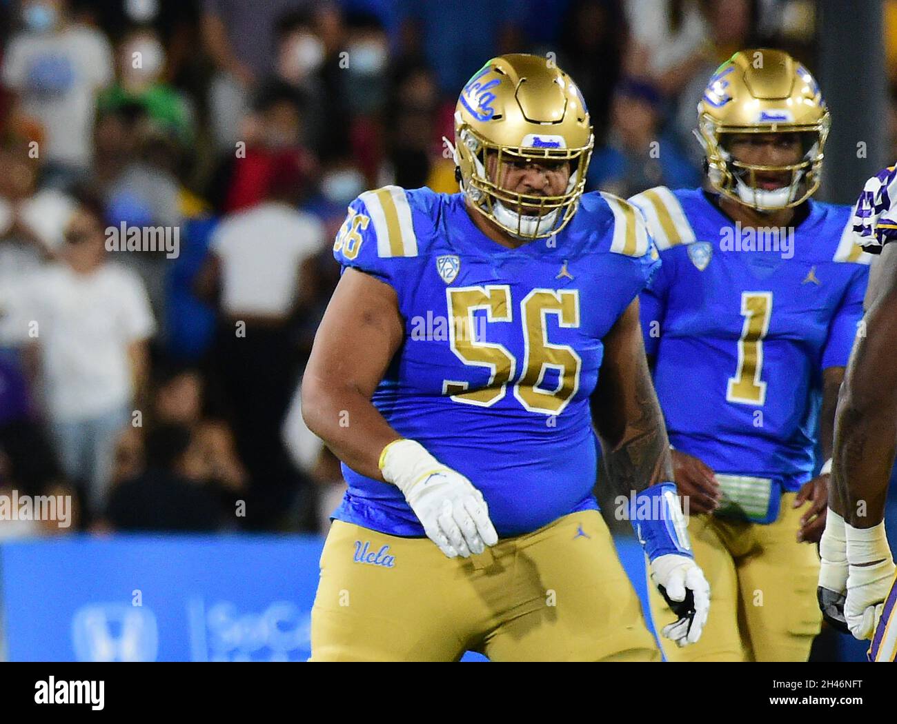 Pasadena, CA. 4th Sep, 2021. UCLA Bruins offensive guard (56) Atonio Afi in action versus the LSU Tigers at the Rose Bowl on September4, 2021. (Absolute Complete Photographer & Company Credit: Jose Marin/MarinMedia.org/Cal Sport Media (Network Television please contact your Sales Representative for Television usage.) (Television usage must over-burn ''MarinMedia'' on the top right corner of the screen to use on television). Credit: csm/Alamy Live News Stock Photo