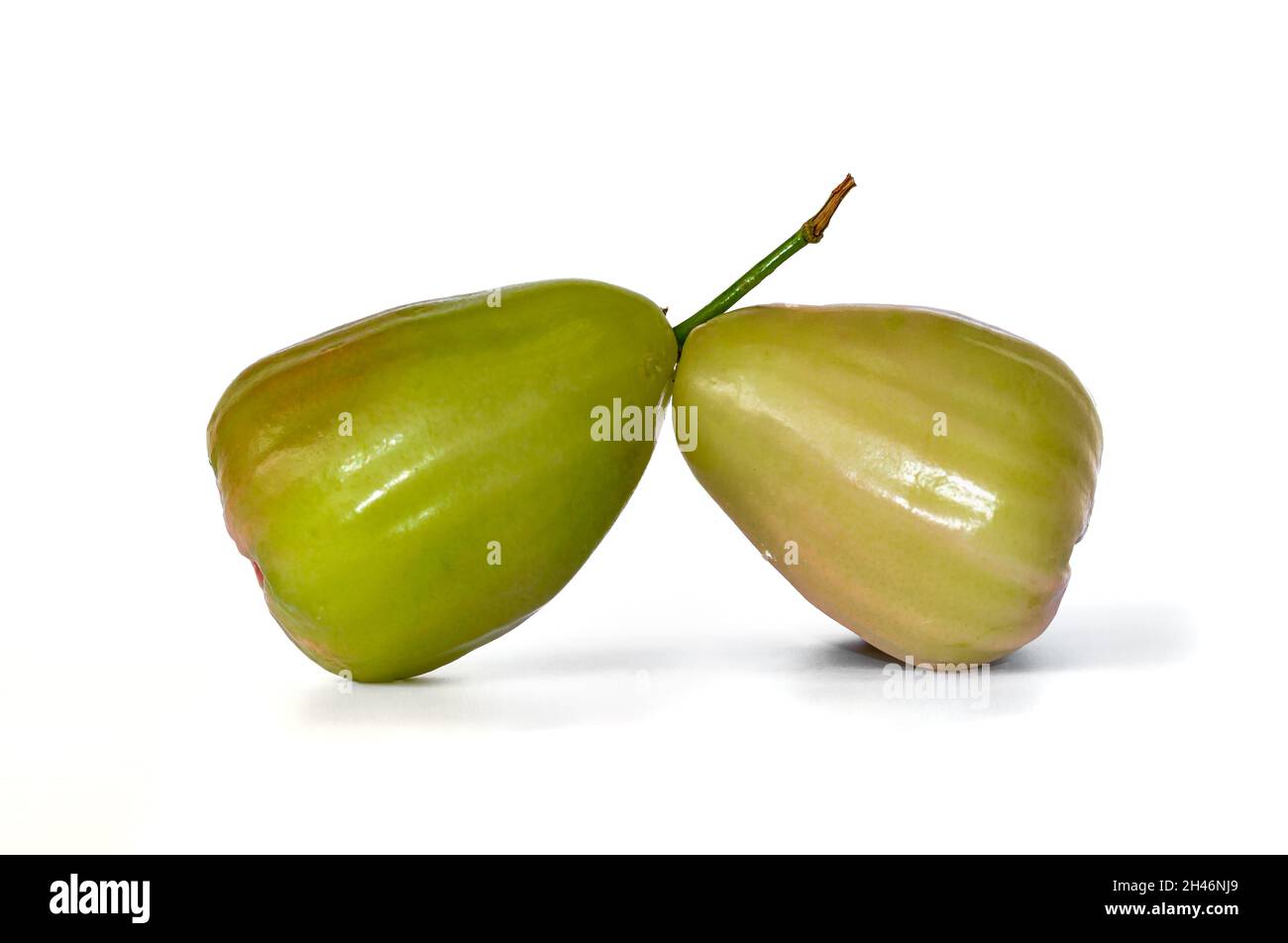 Two ripe and ready-to-eat rose apples, known as Jambu Madu Deli, has green  colour and has a very sweet taste. This species comes from Deli Indonesia. Stock Photo