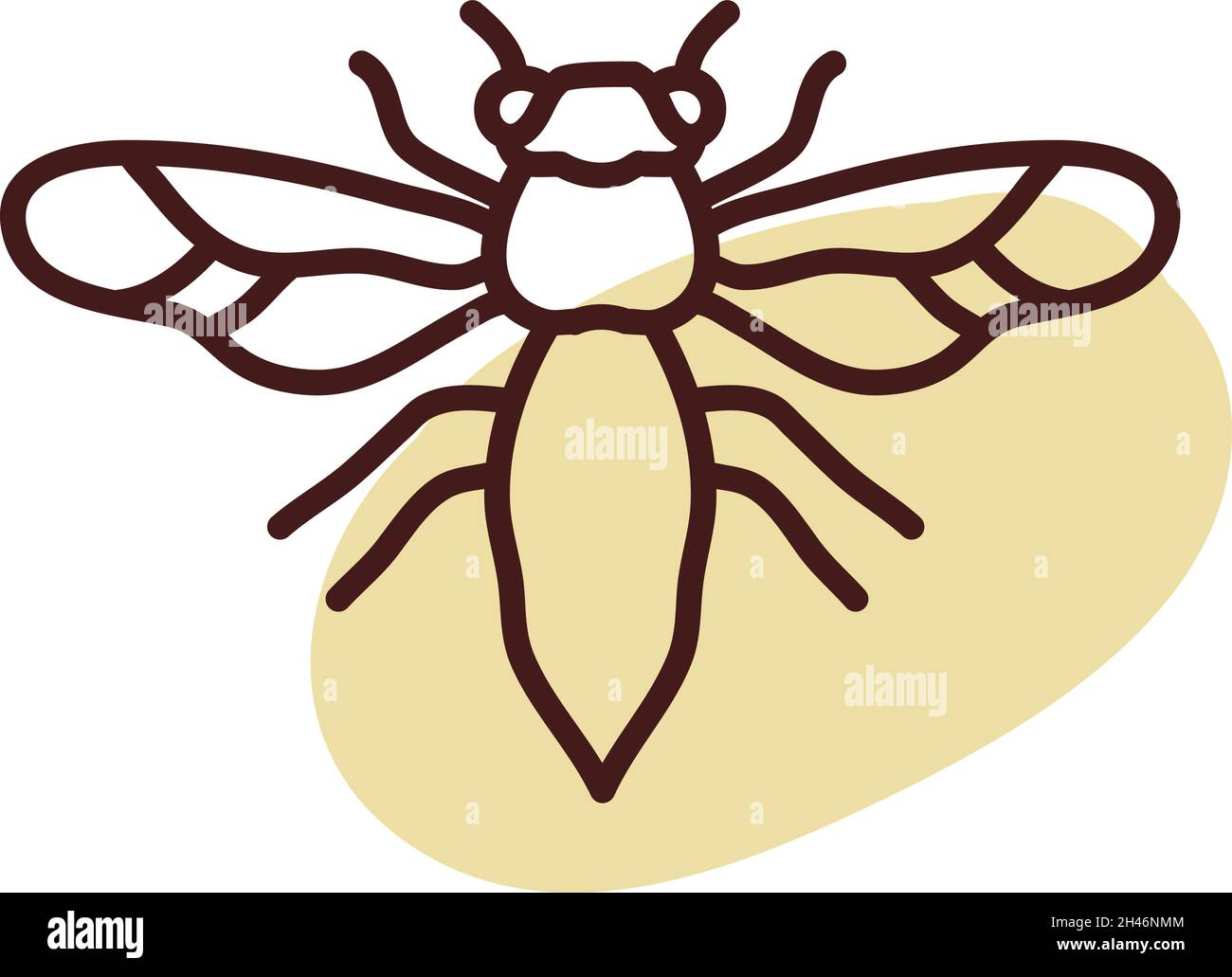 Silverfish moth, illustration, vector, on a white background. Stock Vector