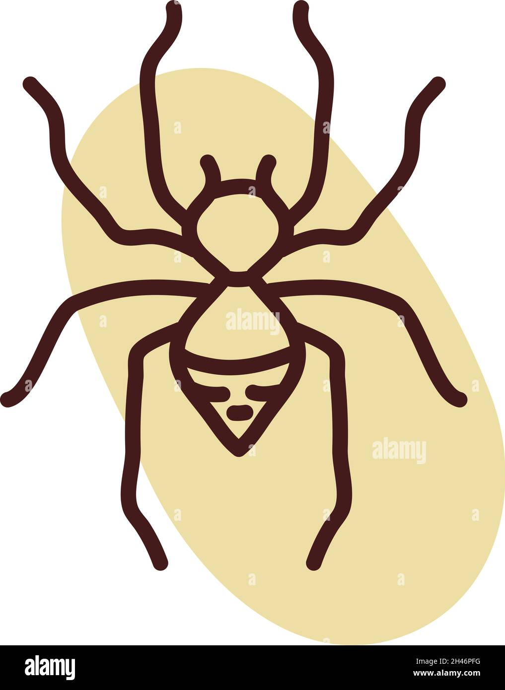 Big spider, illustration, vector, on a white background. Stock Vector