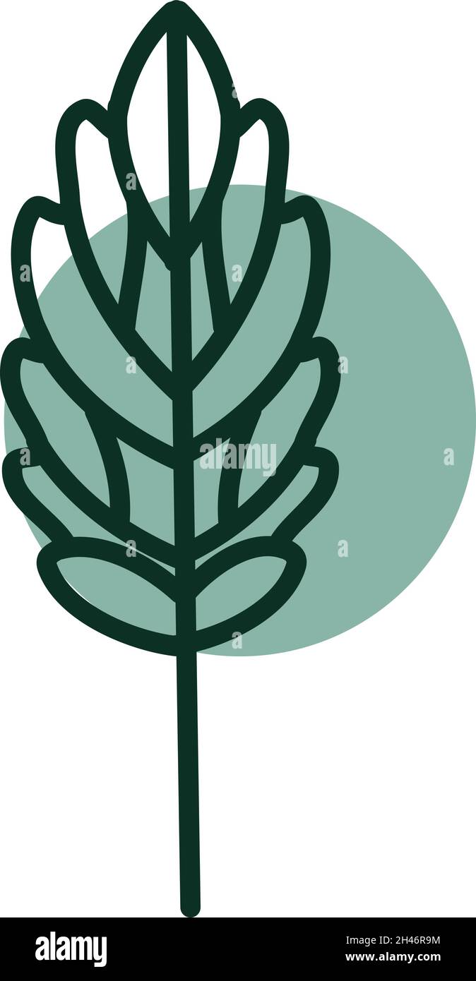 Detailed green leaf, illustration, vector, on a white background. Stock Vector