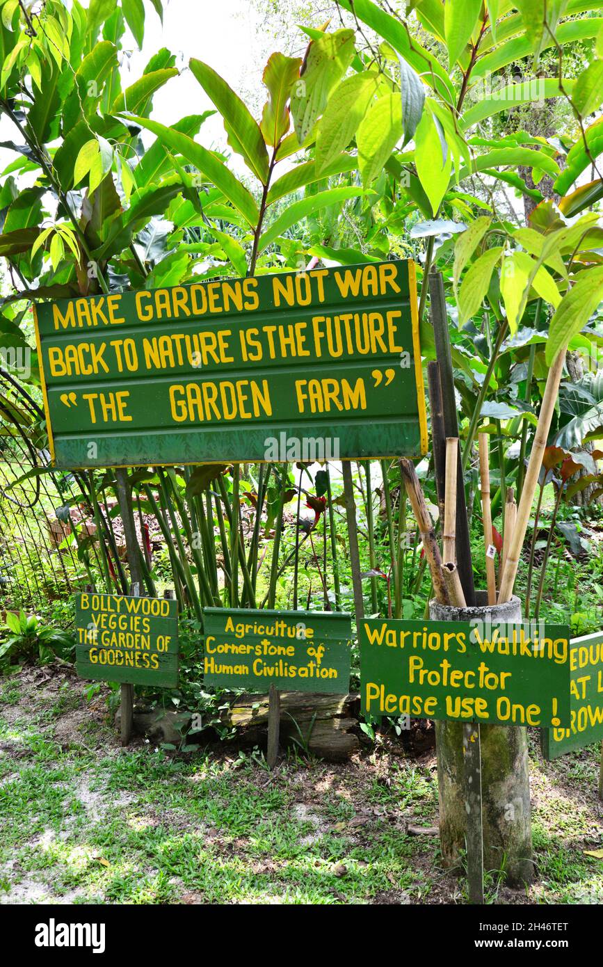 SINGAPORE. THE BOLLYWOOD FARM, ONE OF THE FARMS OF THE KRANJI HERITAGE