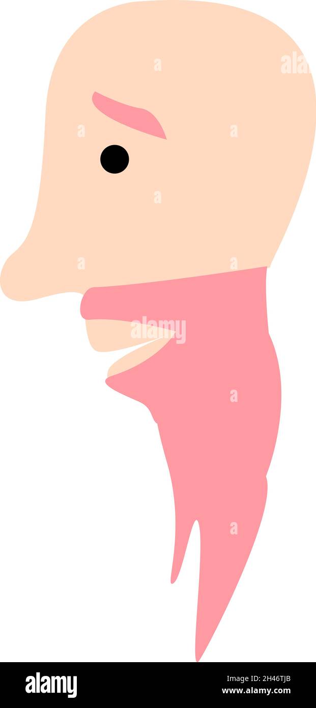 Bald man with pink beard, illustration, vector, on a white background. Stock Vector