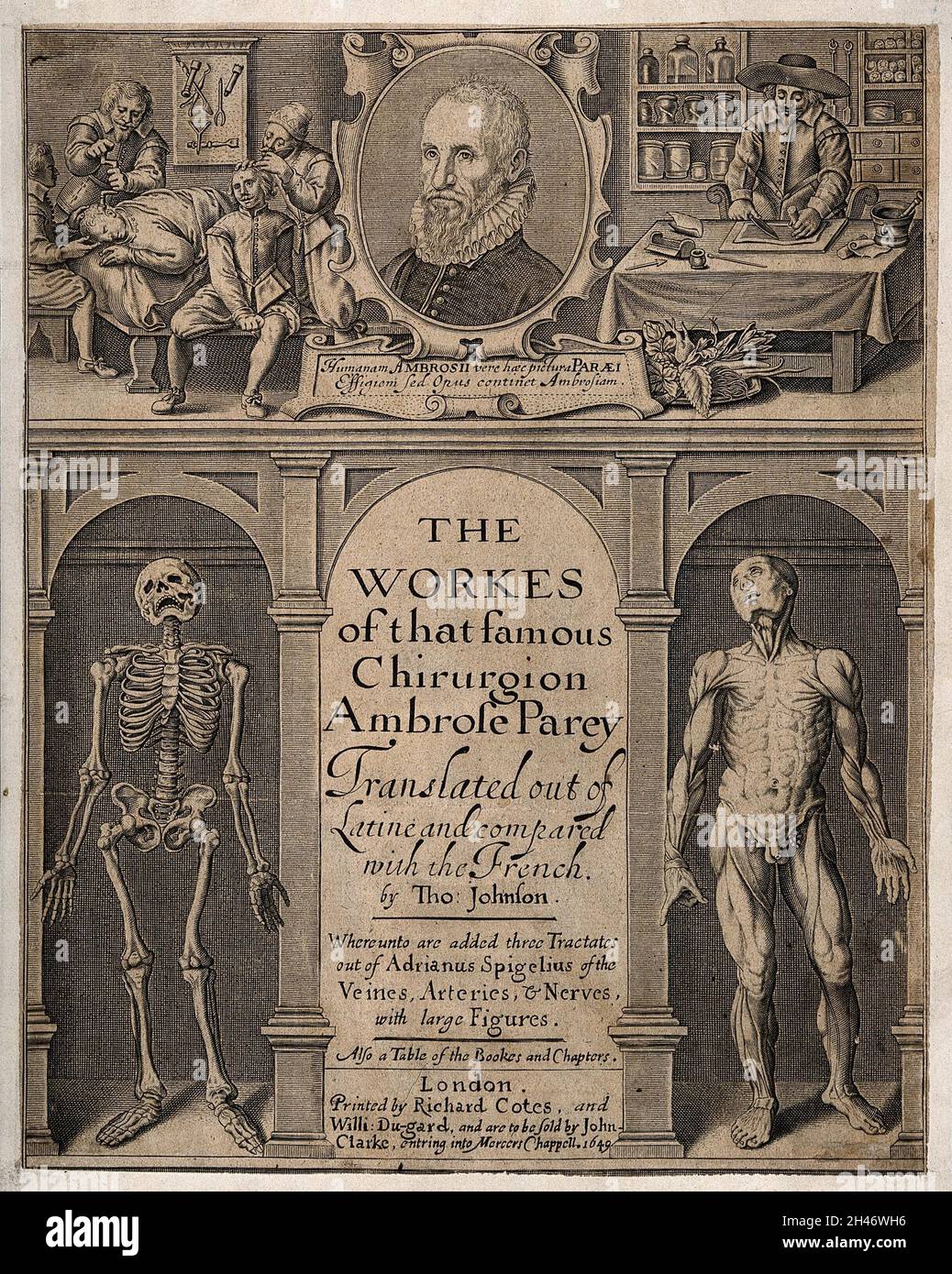 Trephination, preparation of medicines from raw materials, a skeleton, a muscleman and a portrait of A. Paré. Line engraving. Stock Photo