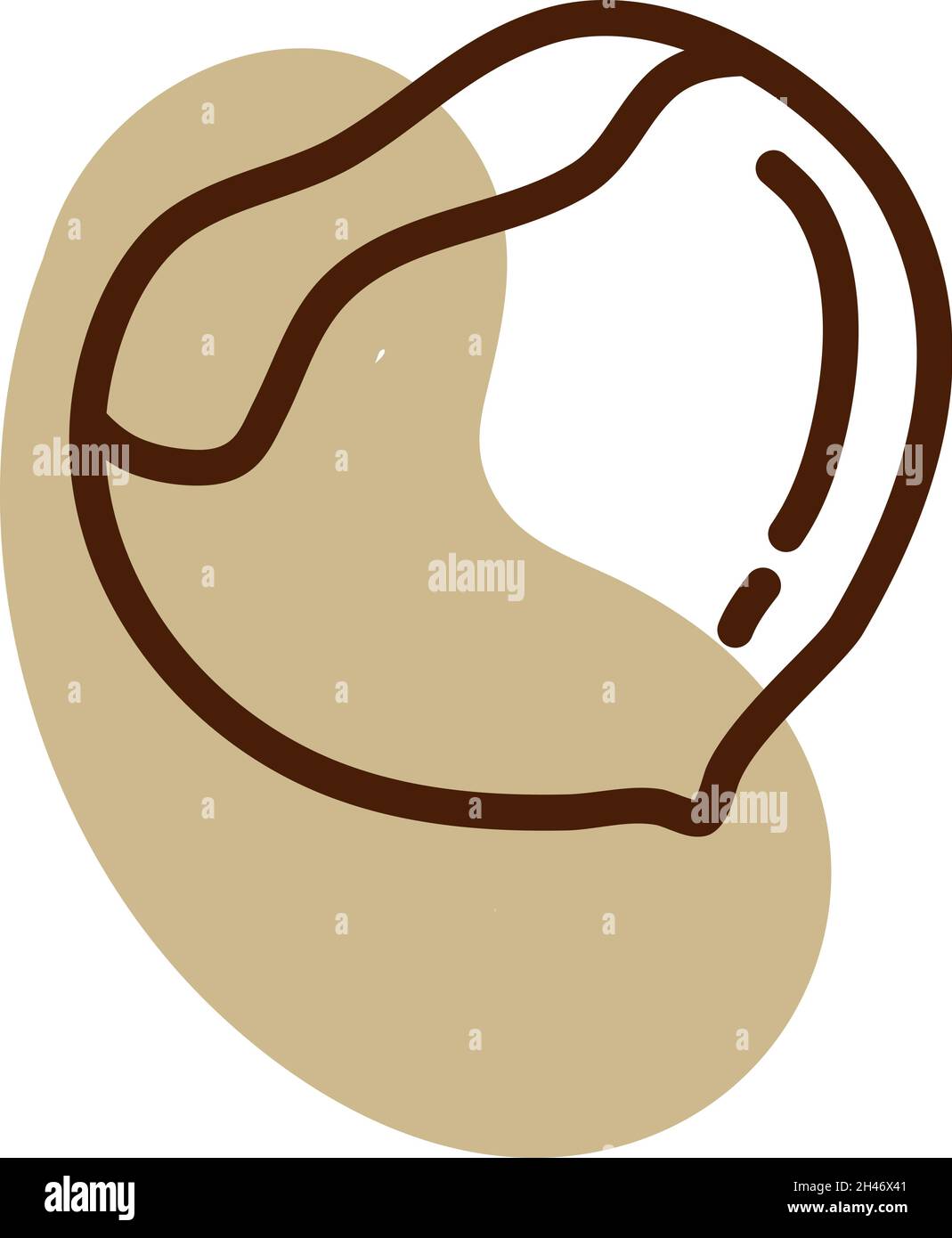 Brown chestnut, illustration, vector, on a white background. Stock Vector