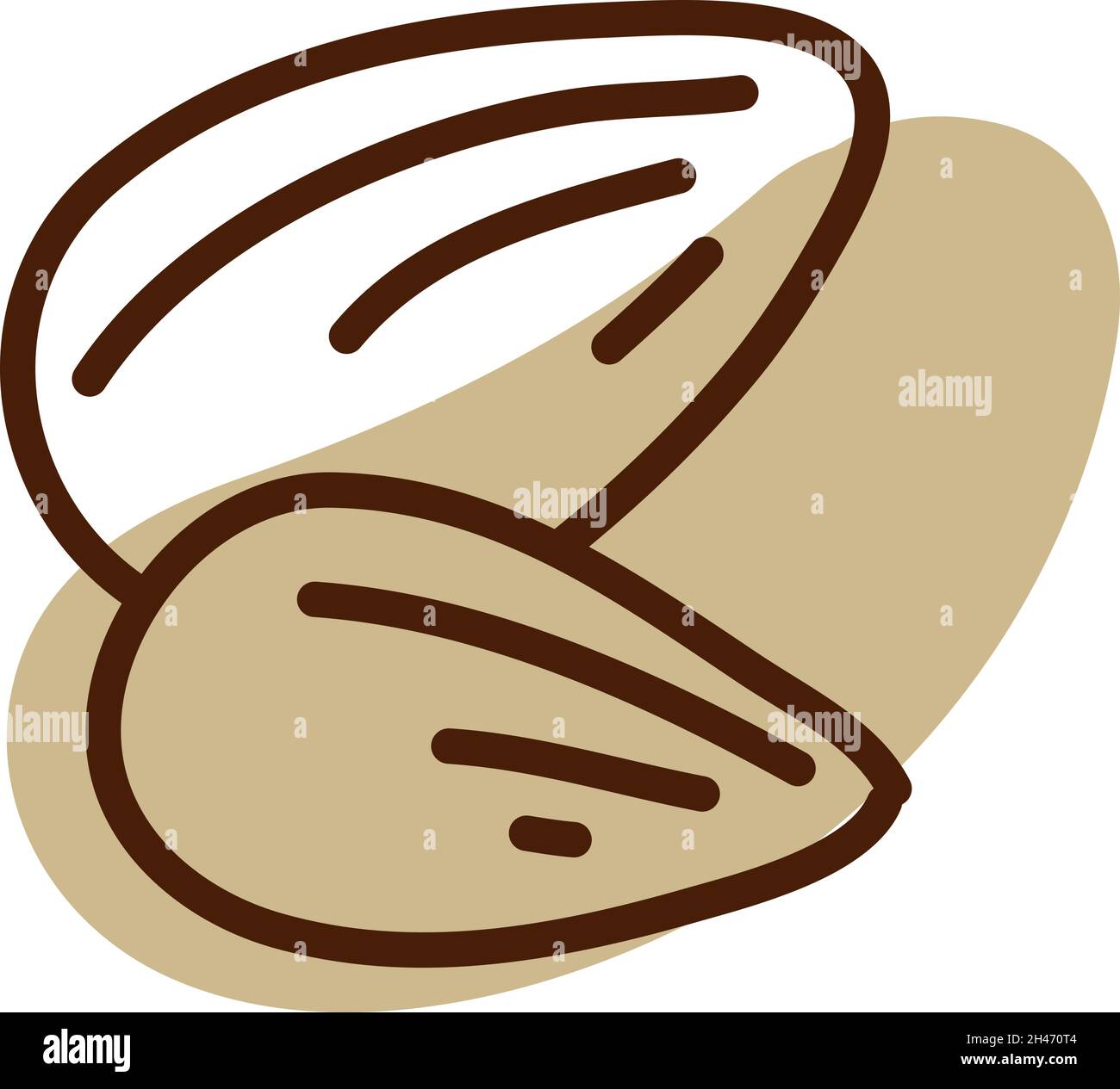 Two almond nuts, illustration, vector, on a white background. Stock Vector