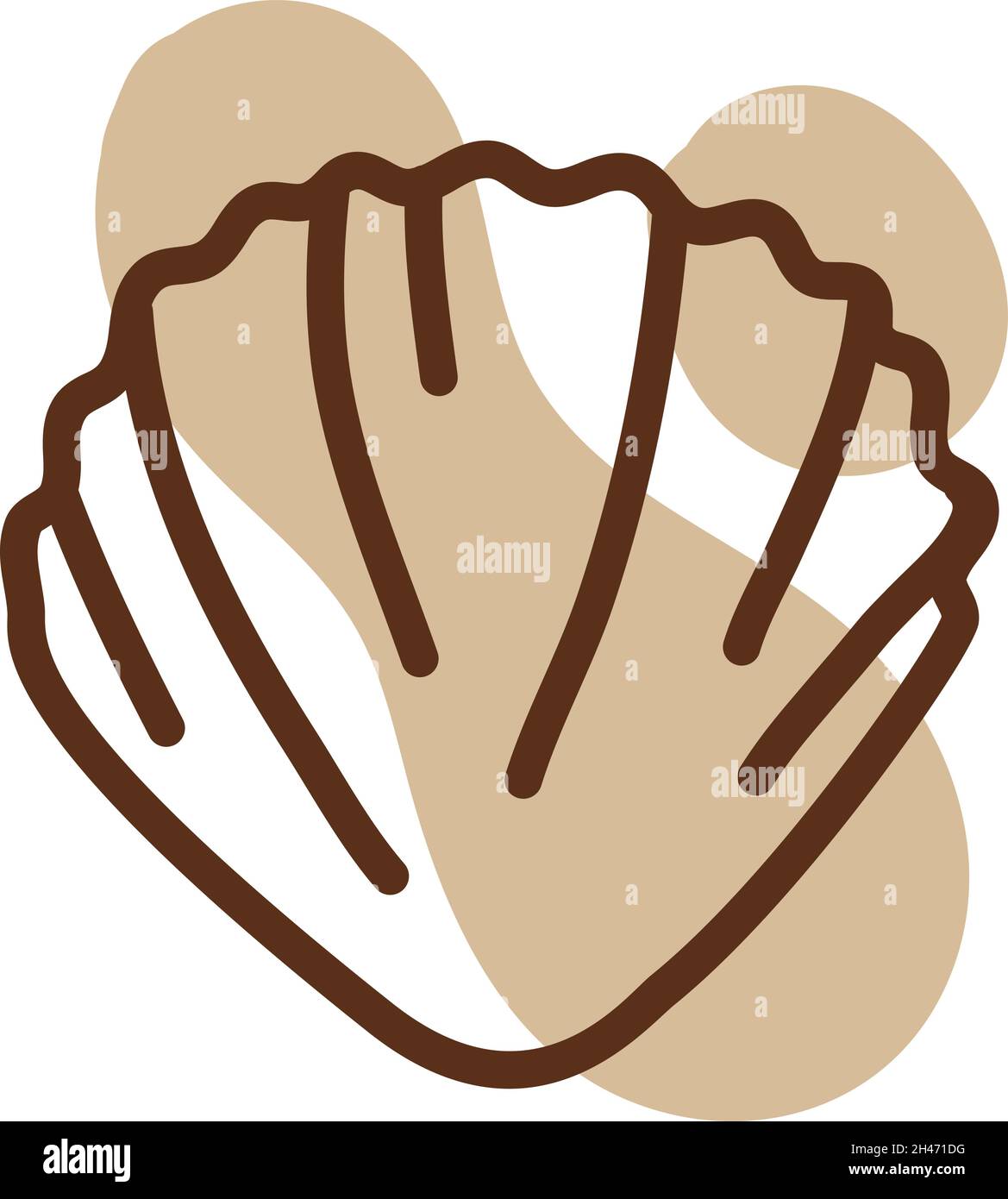 Simple ocean shell, illustration, vector, on a white background Stock ...