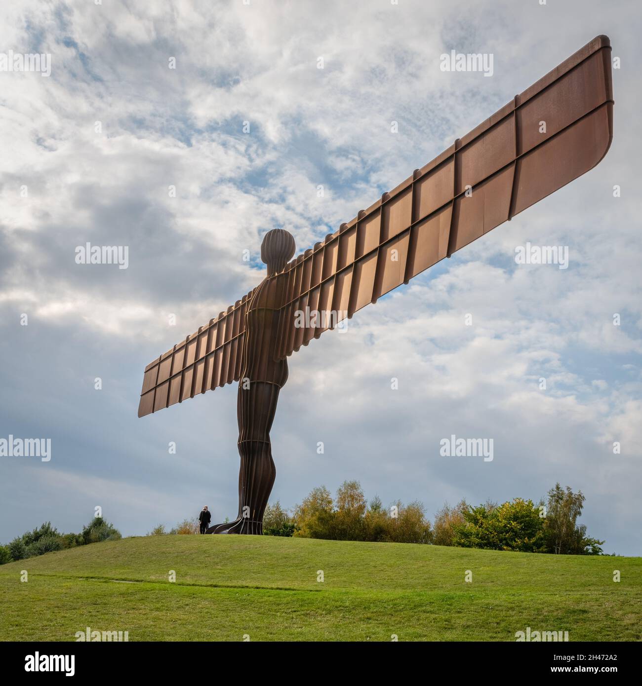 The Angel Of The North Sculpture By Antony Gormley Gateshead UK Stock The Angel Of The North Sculpture By Antony Gormley Gateshead UK Stock