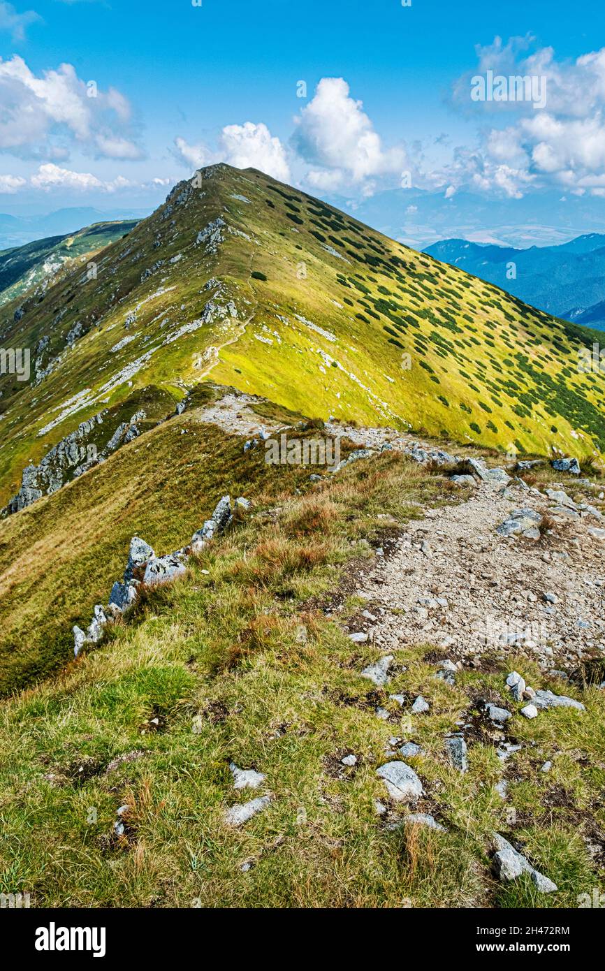 Bor hill, Low Tatras mountain, Slovak republic. Hiking theme. Seasonal natural scene. Stock Photo