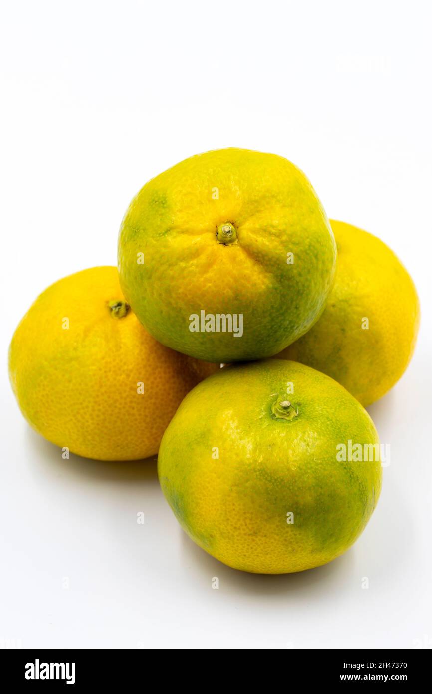 Tangerines on a white background. In combination with a shade of ripe sweet tangerine. Story format close-up Stock Photo