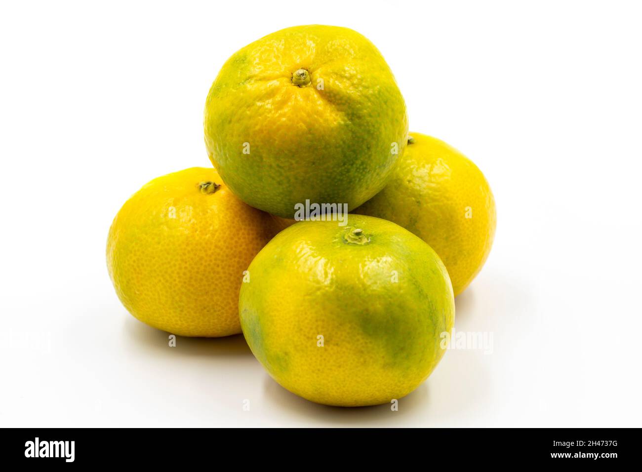 Tangerines on a white background. In combination with a shade of ripe sweet tangerine. close up Stock Photo