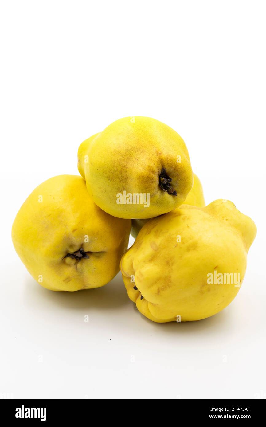 Quince on a white background. In combination with the shade of ripe quince. Story format close-up Stock Photo