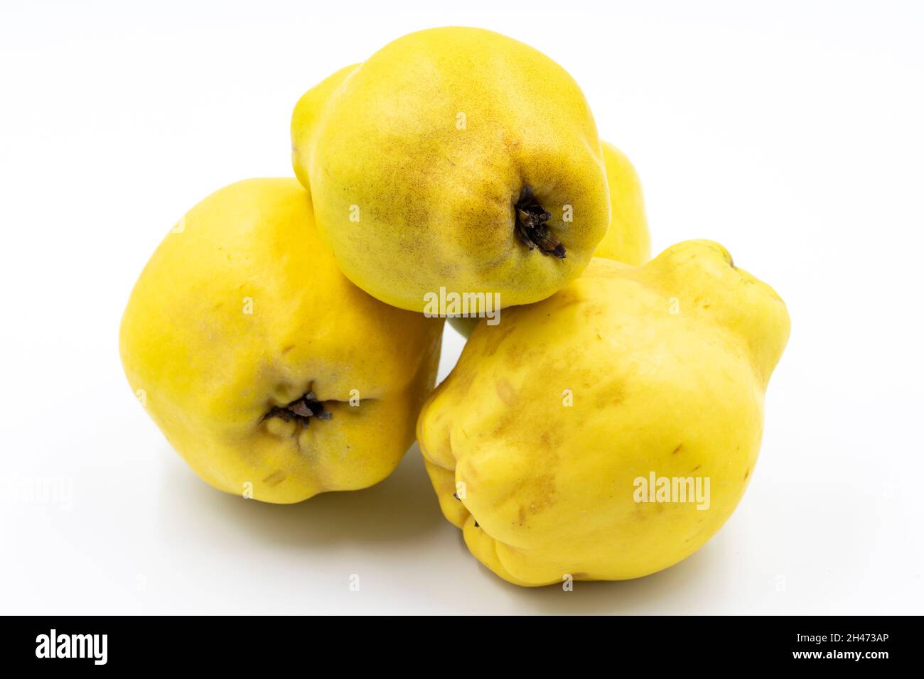 Quince on a white background. In combination with the shade of ripe quince. close-up Stock Photo