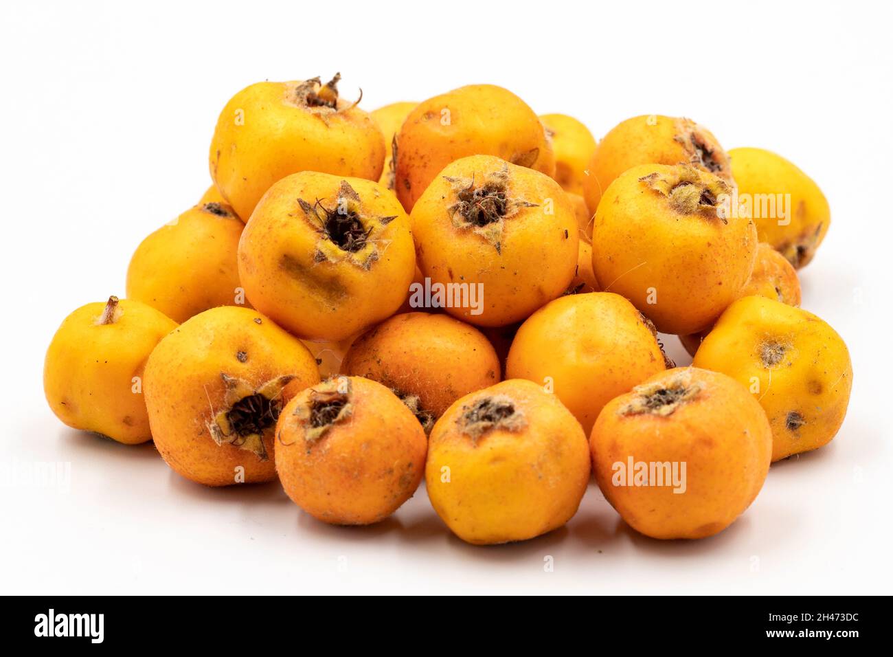 Yellow hawthorn on a white background. In combination with a ripe yellow hawthorn shade. close up Stock Photo