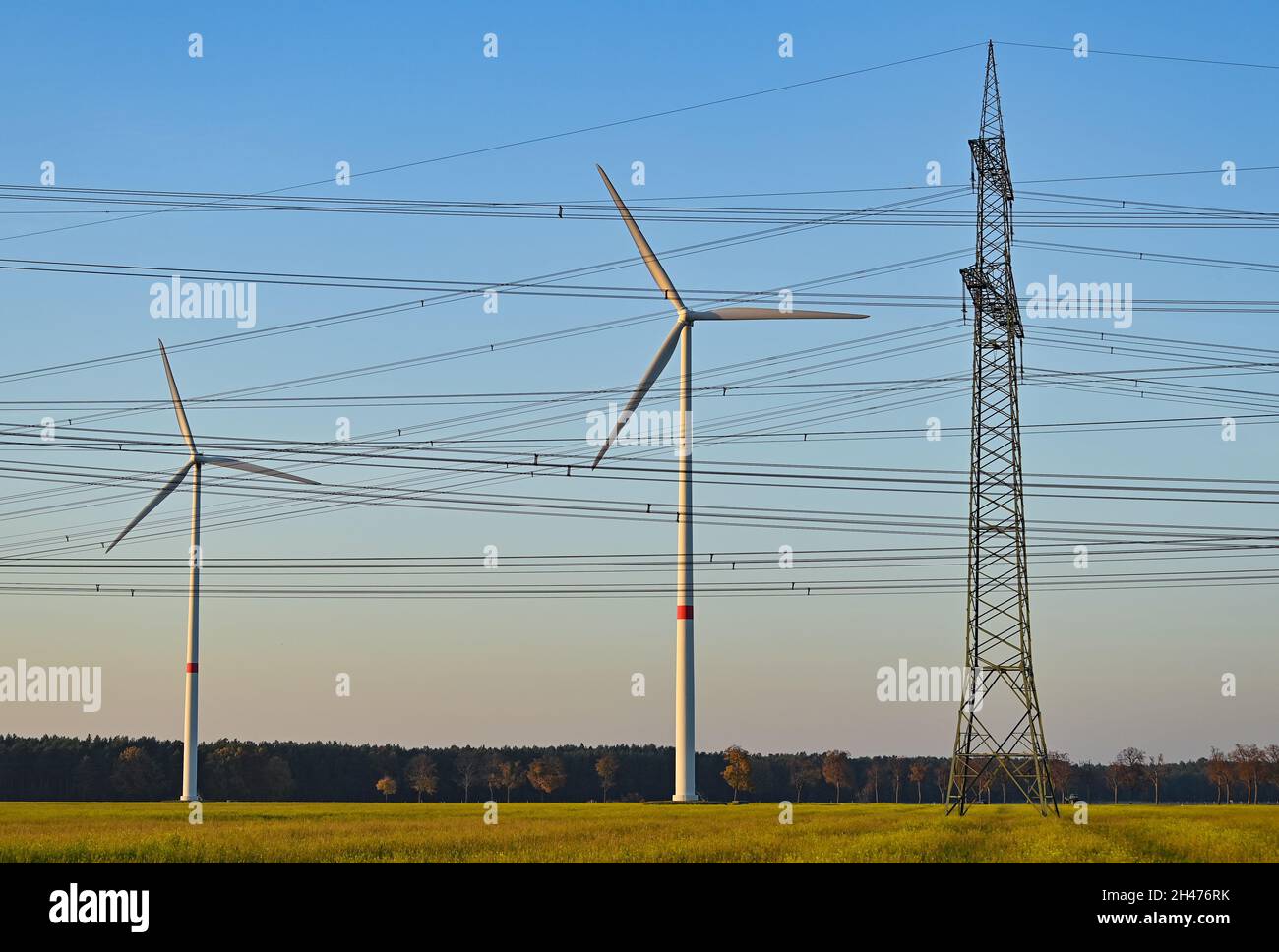 Peitz, Germany. 29th Oct, 2021. Wind turbines are located behind high-voltage pylons of several power lines. Credit: Patrick Pleul/dpa-Zentralbild/ZB/dpa/Alamy Live News Stock Photo