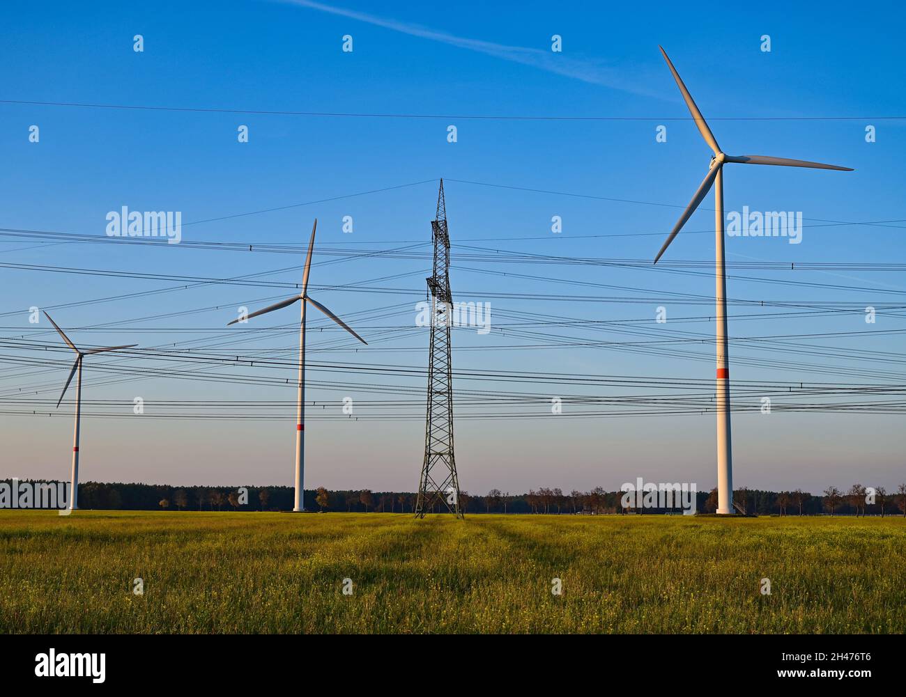 Peitz, Germany. 29th Oct, 2021. Wind turbines are located behind high-voltage pylons of several power lines. Credit: Patrick Pleul/dpa-Zentralbild/ZB/dpa/Alamy Live News Stock Photo