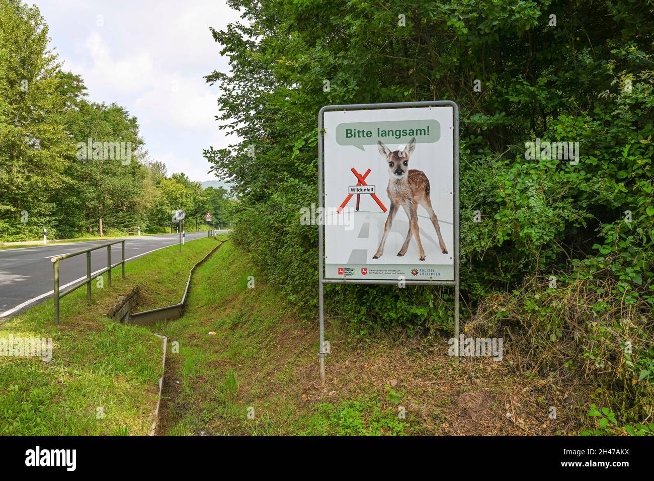 Warnschild Wildwechsel, Rehkitz, langsam, Niedersachsen, Deutschland Stock Photo