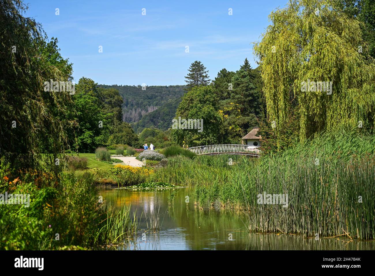 Teich, Kurpark, Bad Pyrmont, Niedersachsen, Deutschland Stock Photo Alamy