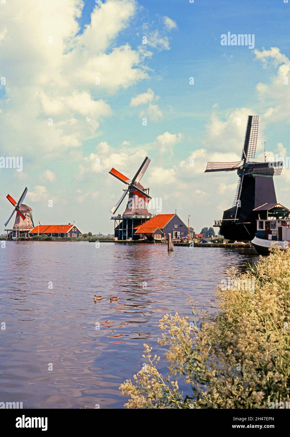 Three windmills alongside the river Zaan, Zaanse Schans, Holland, Netherlands, Europe. Stock Photo