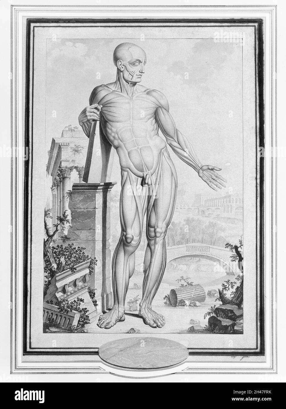 An anatomical figure (écorché) in a classical landscape. Drawing by A ...