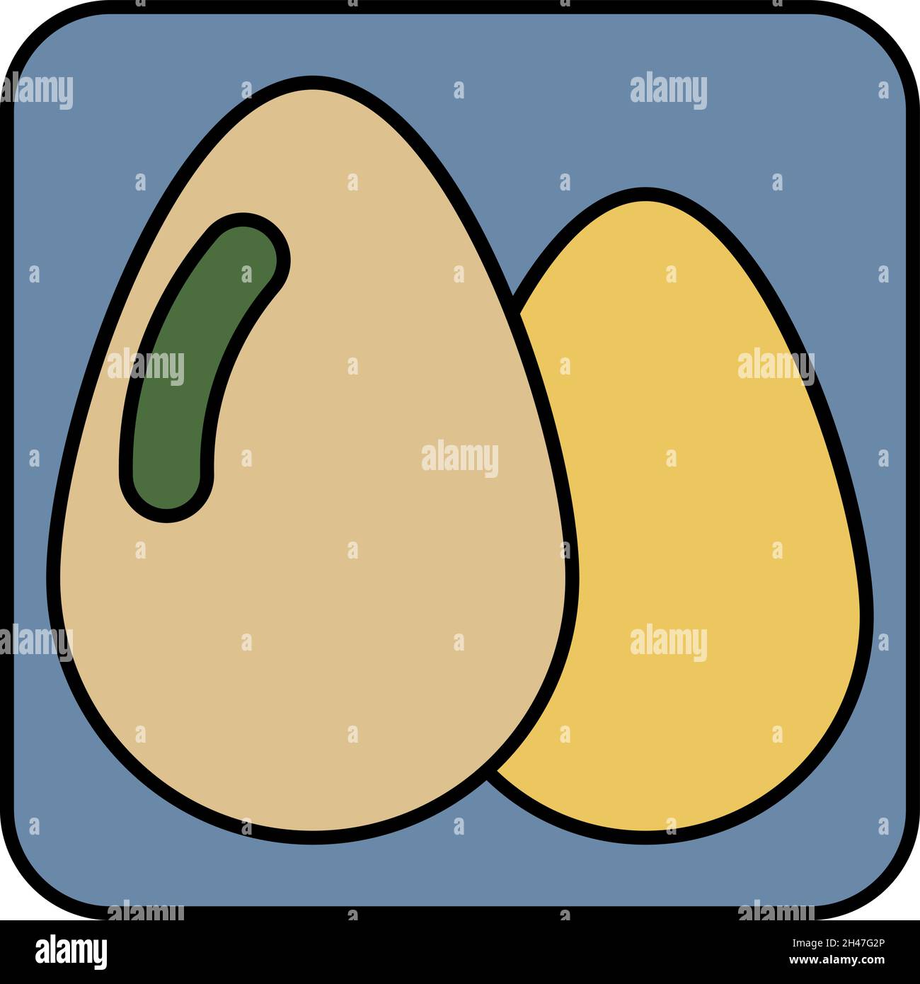 Two farm eggs, illustration, vector, on a white background. Stock Vector