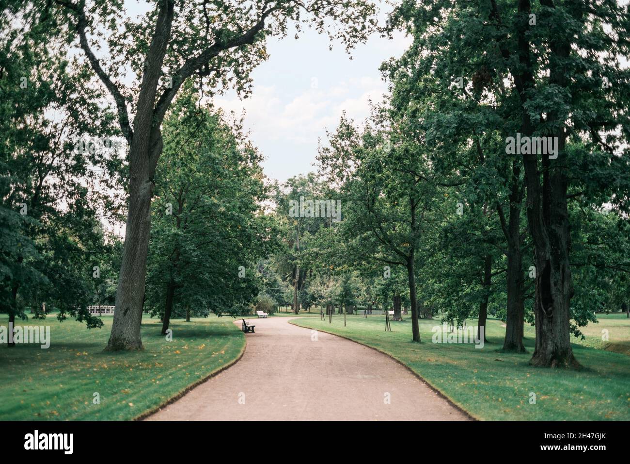 Footpath by trees hi-res stock photography and images - Alamy