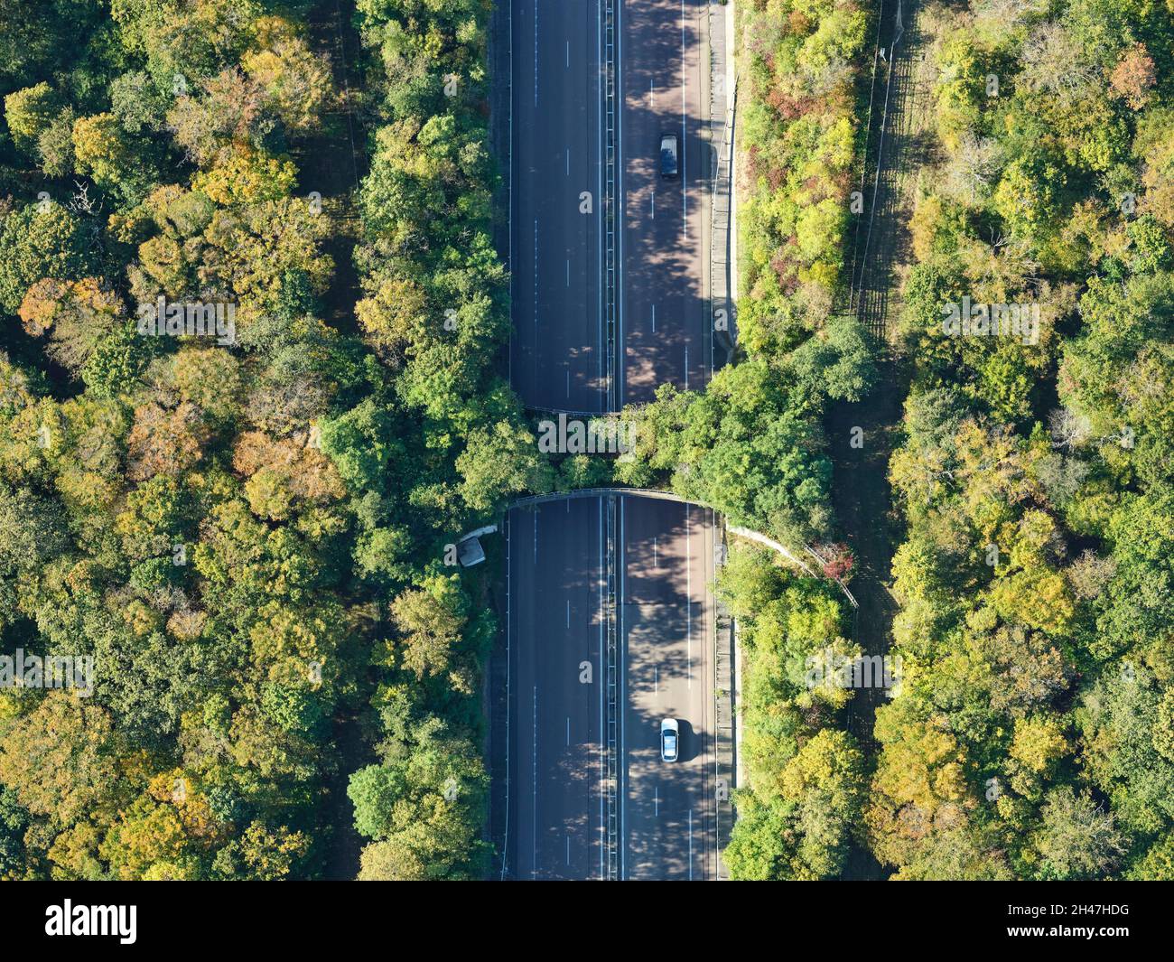 AERIAL VIEW. Overpass built to allow the crossing of wildlife. Highway A5 near Châteauvillain, Haute-Marne, Champagne-Ardenne, Grand Est, France. Stock Photo