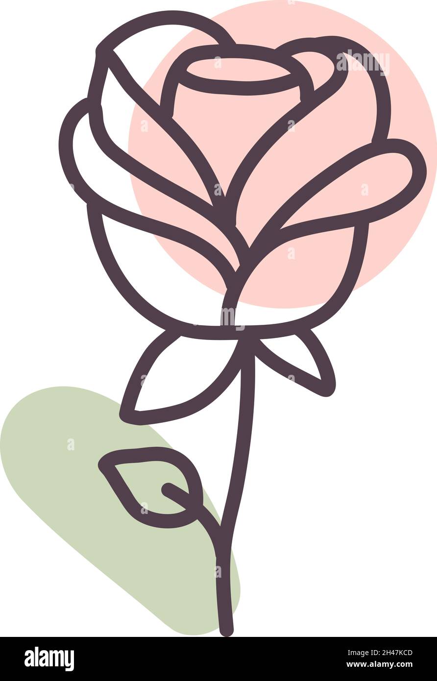 Detail white rose flower Stock Vector Images - Alamy