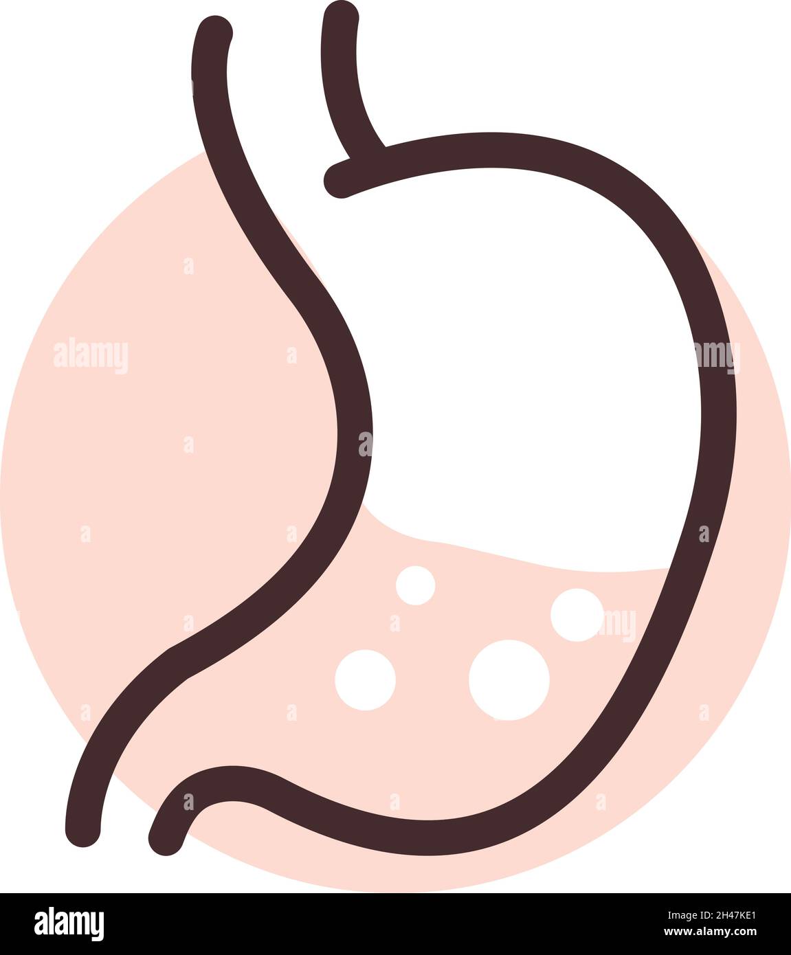 Human stomach, illustration, vector, on a white background. Stock Vector