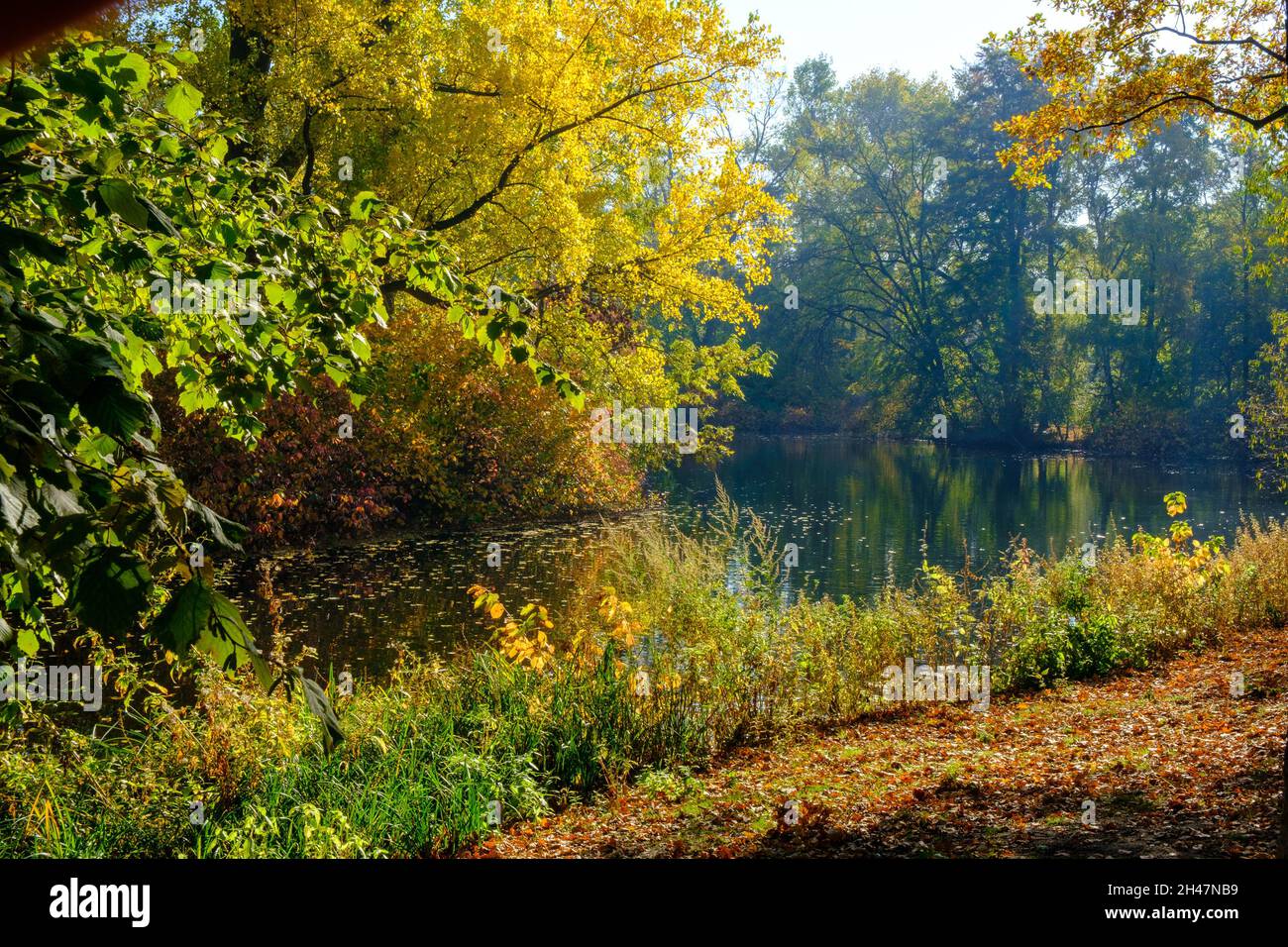 Berlin Tiergarten park in autumn Stock Photo