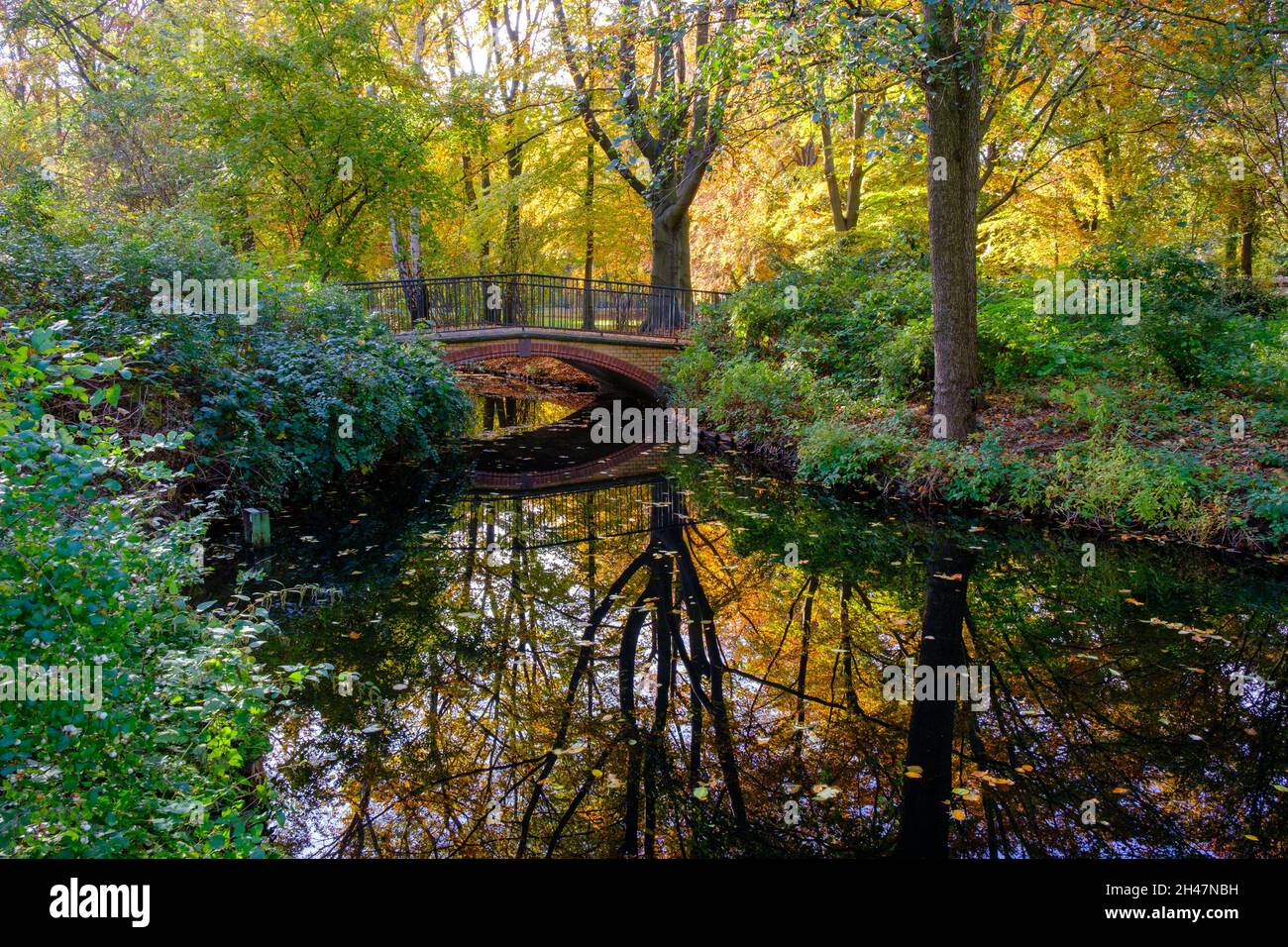 Berlin Tiergarten park in autumn Stock Photo