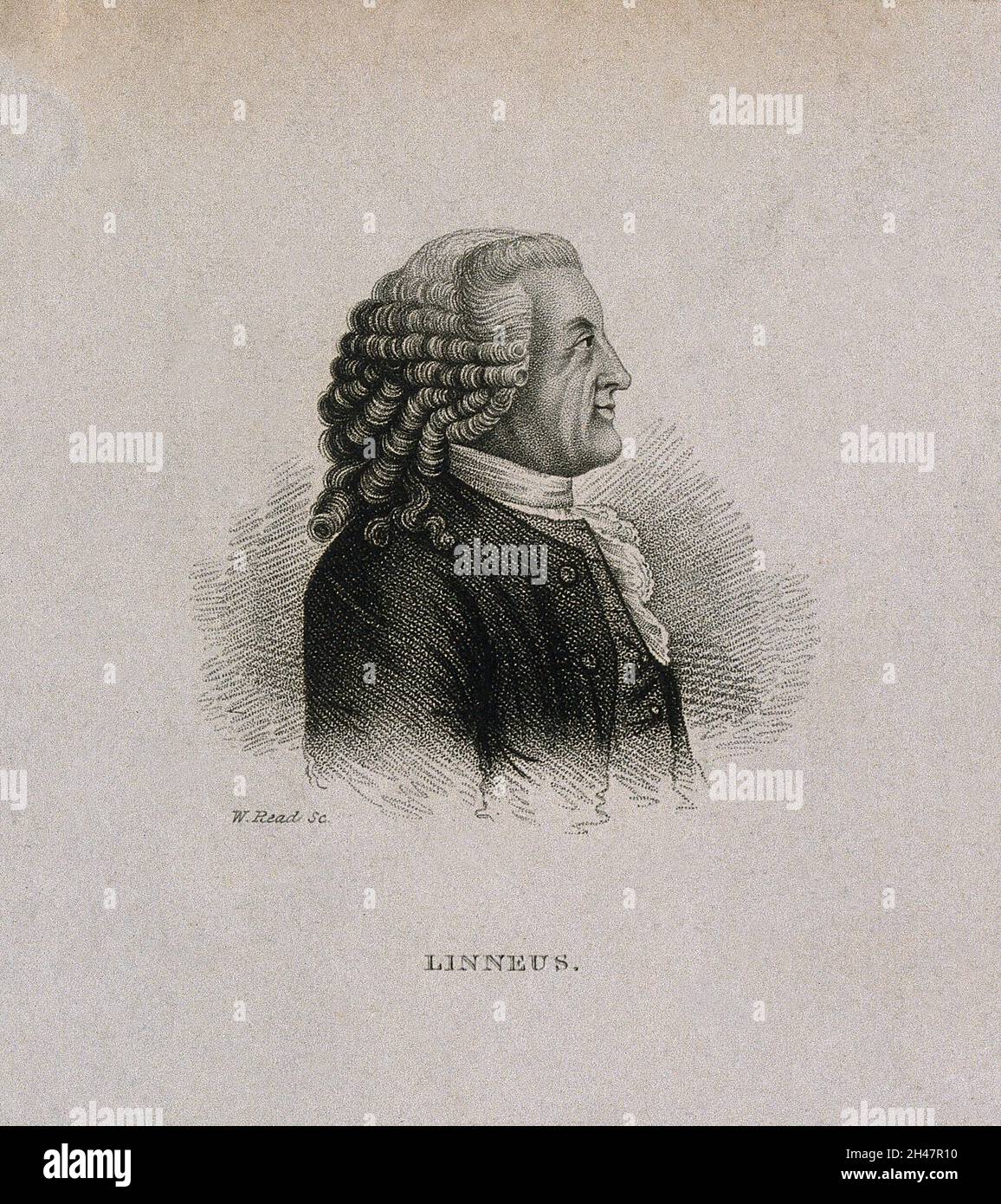 Carolus Linnaeus. Stipple engraving by W. Read after C. F. Inlander, 1773. Stock Photo