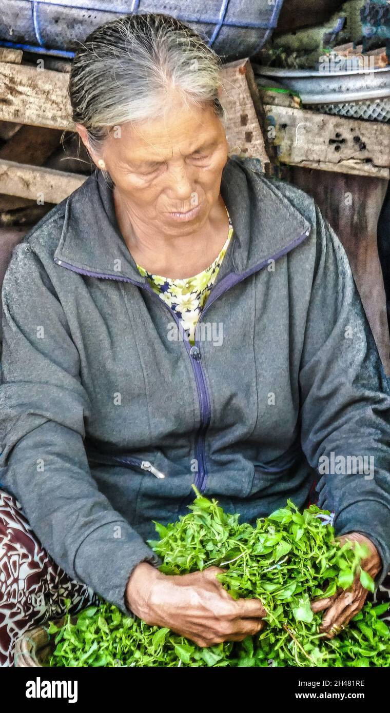 Old Vietnamese woman selling herbs in Hoi Ann Street Market Stock Photo