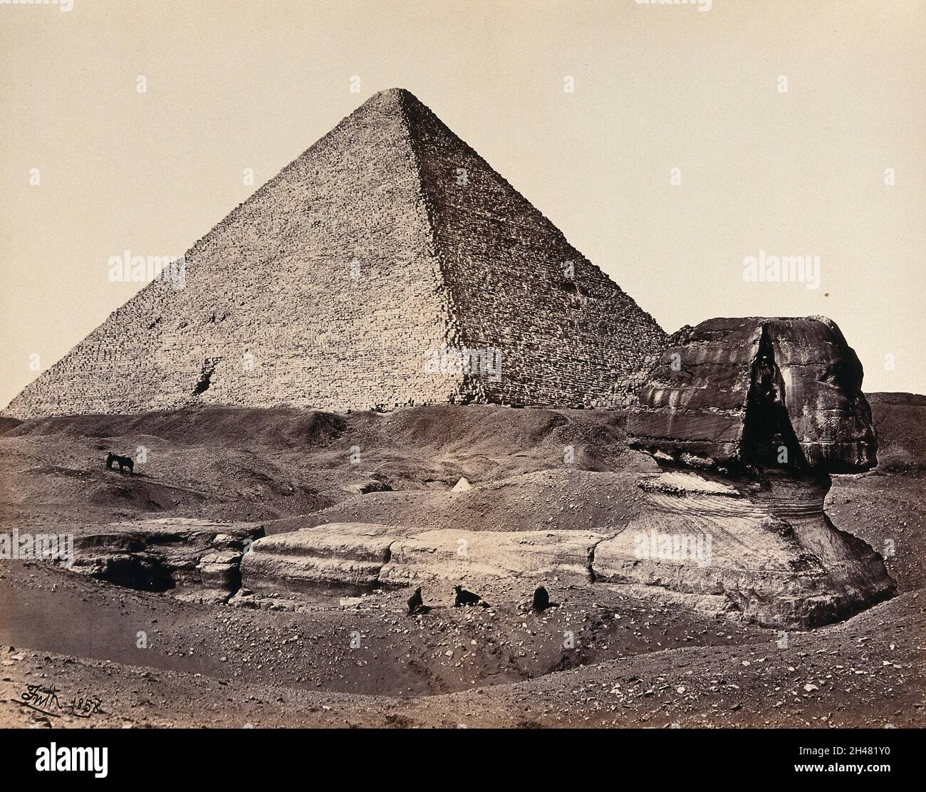 The Great Pyramid and the Great Sphinx. Photograph by Francis Frith ...